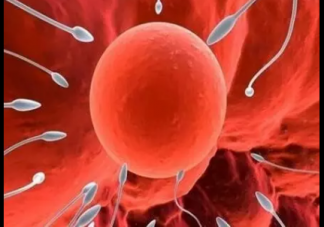 受精卵著床需要幾天 受精卵著床一定會出血嗎