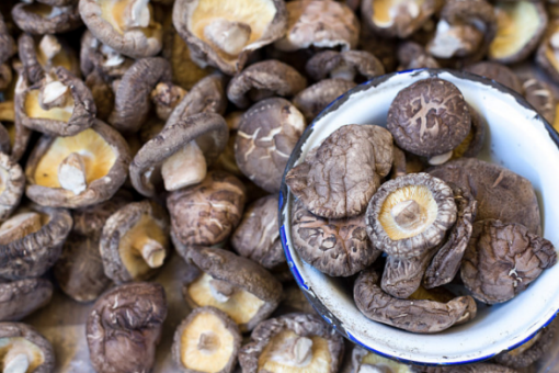 寶寶吃香菇會過敏嗎 寶寶吃香菇會便秘嗎