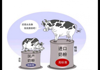 國產奶粉好還是進口奶粉好 國產奶粉和進口奶粉有什么區別