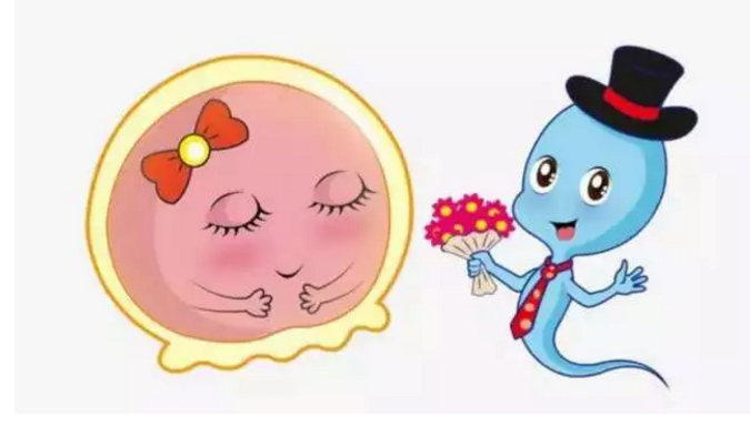 受孕日都是排卵日怎么懷不上 怎么提高懷孕的可能