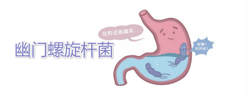 幽門螺旋桿菌