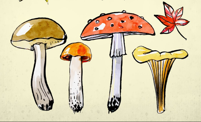 天天下雨怎么發(fā)朋友圈 天天下雨心情煩說說朋友圈 天天下雨怎么發(fā)朋友圈 天天下雨心情煩說說朋友圈