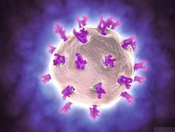 感染輪狀病毒會出現哪些癥狀 輪狀病毒會引發什么疾病