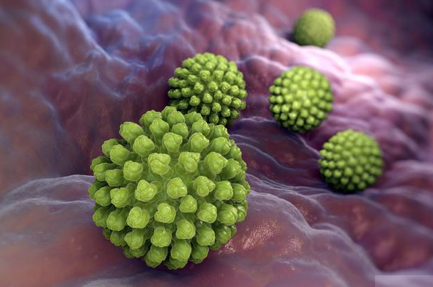 感染輪狀病毒會出現哪些癥狀 輪狀病毒會引發什么疾病