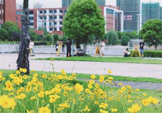 今日立夏早安心情說說 今日立夏早安心語