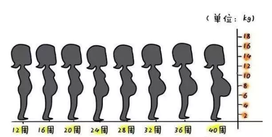 為什么懷孕肚子不顯懷 懷孕肚子不顯懷原因有哪些