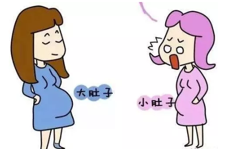 為什么懷孕肚子不顯懷 懷孕肚子不顯懷原因有哪些