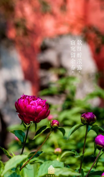 立夏節(jié)氣海報(bào)大全2019 立夏創(chuàng)意海報(bào)文案推薦 立夏節(jié)氣海報(bào)大全2019 立夏創(chuàng)意海報(bào)文案推薦