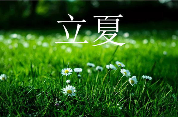 今日立夏說說配圖句子2019 立夏節氣的說說