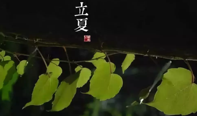 立夏為什么要吃雞蛋 立夏這天有什么習(xí)俗