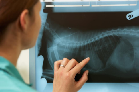 產(chǎn)后42天復(fù)查有必要做嗎 產(chǎn)后復(fù)查的重要性 產(chǎn)后42天復(fù)查有必要做嗎 產(chǎn)后復(fù)查的重要性