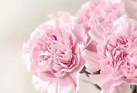 母親節(jié)祝福母親祝福語帶圖 母親節(jié)朋友圈說說怎么發(fā)