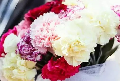 母親節(jié)祝福母親祝福語帶圖 母親節(jié)朋友圈說說怎么發(fā)