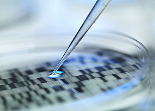 孕期無創DNA檢測多少錢 無創DNA檢測值得做嗎 孕期無創DNA檢測多少錢 無創DNA檢測值得做嗎