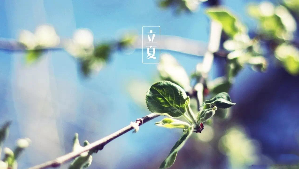 形容初夏的文藝一點的句子 描寫初夏景色的句子 形容初夏的文藝一點的句子 描寫初夏景色的句子