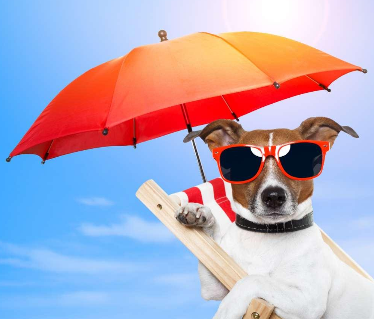 怎么給孩子選擇合適的太陽鏡 給孩子買什么材質(zhì)的太陽鏡比較好