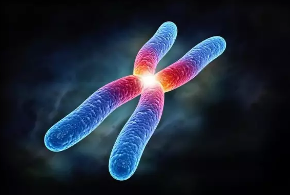 習慣性流產和男人有關系嗎 習慣性流產和男性的關系