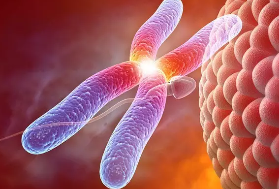 習慣性流產和男人有關系嗎 習慣性流產和男性的關系