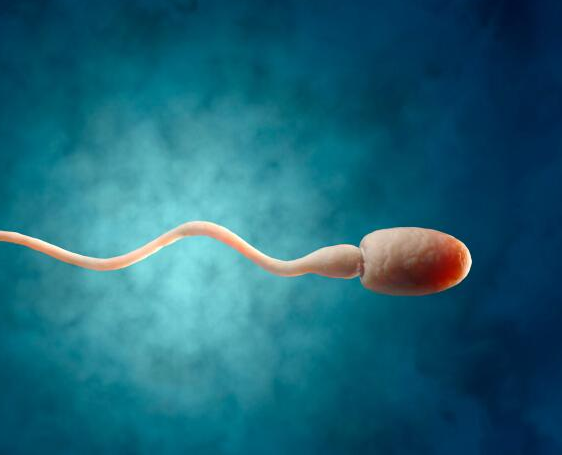 性生活一天一次頻繁嗎 一周幾次性生活比較健康