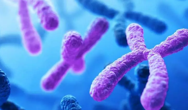 哪些情況會導致復發性流產 復發性流產的因素有哪些