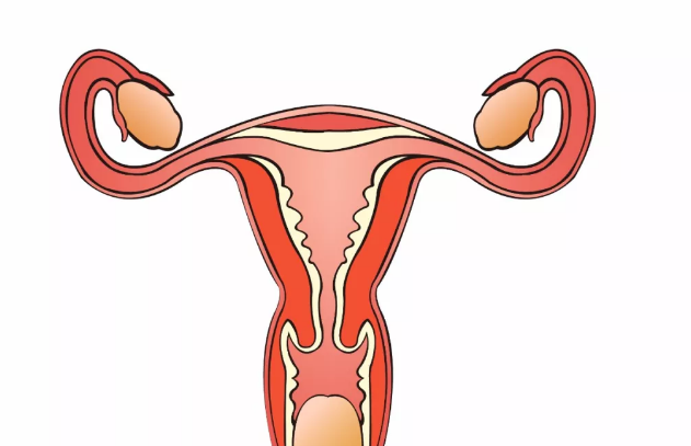 哪些情況會導致復發性流產 復發性流產的因素有哪些