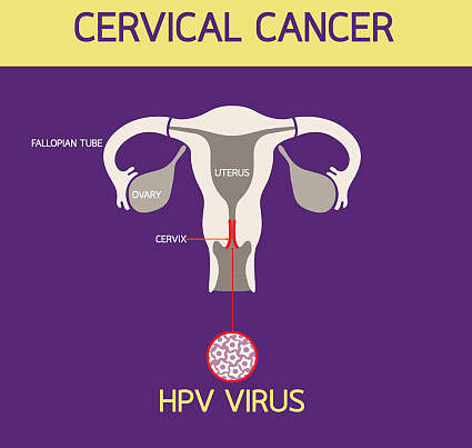 hpv疫苗會影響月經(jīng)嗎 hpv疫苗會推遲月經(jīng)嗎