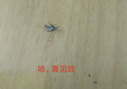 淳一嬰兒蚊香液怎么樣 淳一嬰兒蚊香液使用測(cè)評(píng)