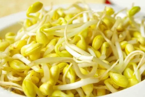哺乳期吃黃豆芽還是綠豆芽 哺乳期吃黃豆芽好不好