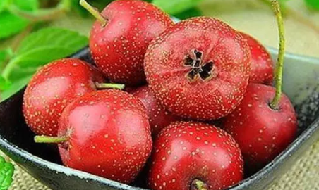 哺乳期喝山楂水會回奶嗎 山楂的營養(yǎng)作用有哪些