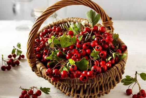 哺乳期喝山楂水會回奶嗎 山楂的營養(yǎng)作用有哪些