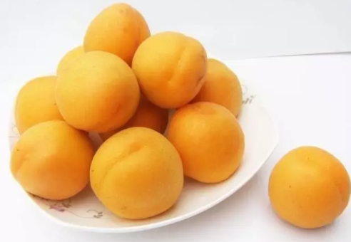 哺乳期吃杏子對寶寶有影響嗎 哺乳期能吃杏子嗎