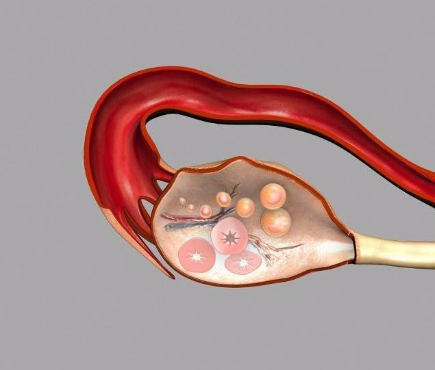 試管嬰兒可以不打促排針嗎 試管嬰兒一次不成功什么時候能做第二次