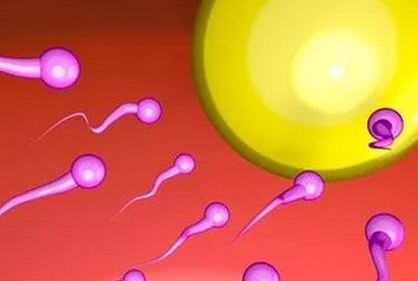 無精子癥是什么 無精子癥還能生孩子嗎