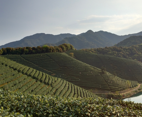 陪孩子爬山的朋友圈文字 周末帶孩子爬山的說說朋友圈