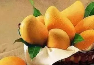 女性經期吃芒果會閉經嗎 經期吃芒果到底好不好