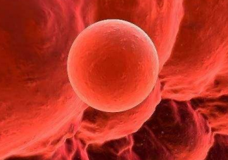 排卵期內(nèi)精子進(jìn)入體內(nèi)會有什么感覺 精子進(jìn)入體內(nèi)能感覺的到嗎