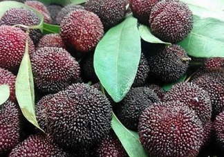 孕期可以吃楊梅嗎 孕期吃楊梅對寶寶好嗎