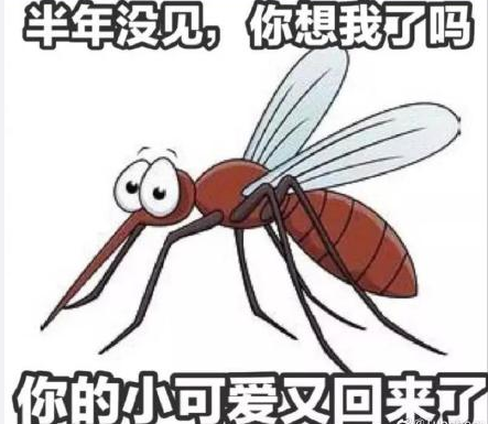 半夜打蚊子的幽默說說 半夜打蚊子的搞笑說說朋友圈