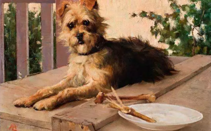 注射狂犬疫苗后第二天死亡是什么情況 為什么注射了狂犬疫苗還會(huì)死亡 