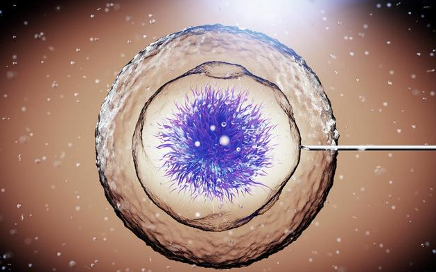 試管嬰兒取卵之后有腹水怎么回事 試管嬰兒取卵后有腹水怎么辦