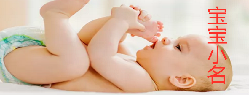 2019豬寶寶好聽的洋氣小名 豬寶寶小名大全