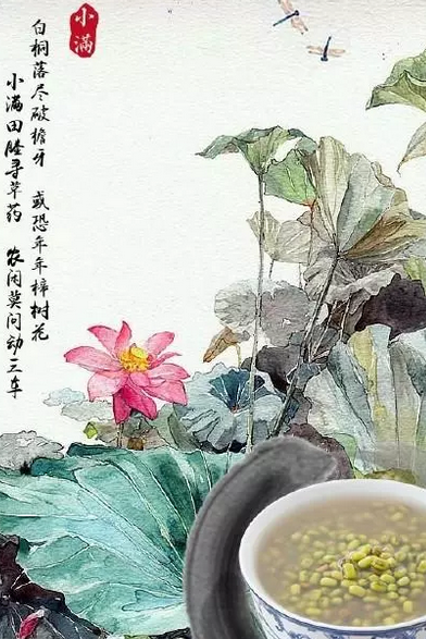 2019小滿節氣海報文案匯總 小滿品牌借勢節氣海報