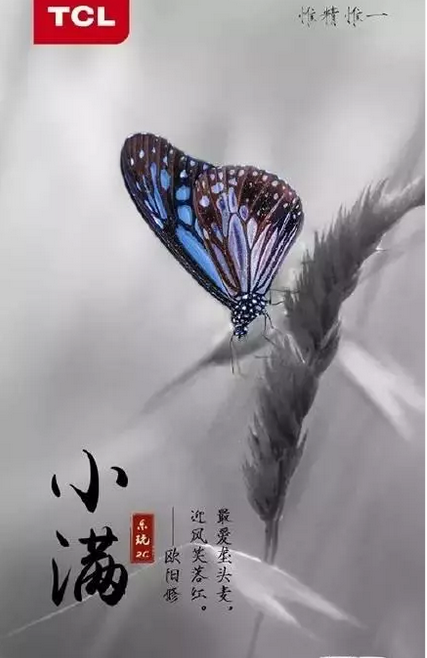 2019小滿節氣海報文案匯總 小滿品牌借勢節氣海報