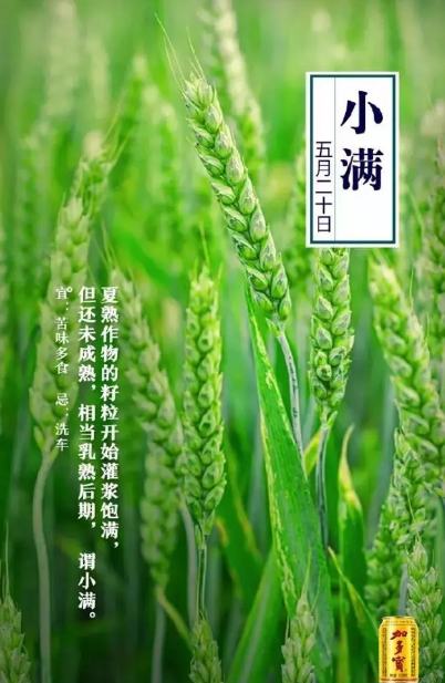 2019小滿節氣海報文案匯總 小滿品牌借勢節氣海報