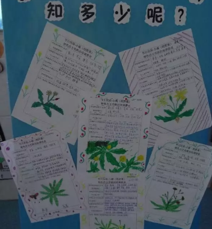 2019幼兒園小滿活動報道 幼兒園小滿活動新聞稿六篇