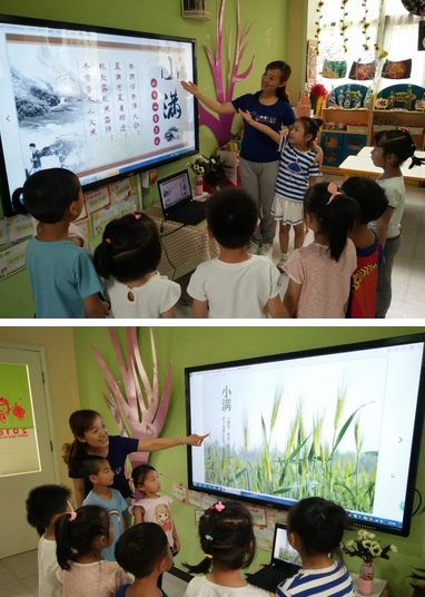 2019幼兒園小滿活動報道 幼兒園小滿活動新聞稿六篇