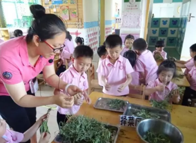 2019幼兒園小滿活動報道 幼兒園小滿活動新聞稿六篇