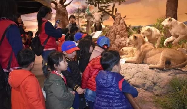 幼兒園去博物館觀后感 2019博物館日幼兒園活動觀后感