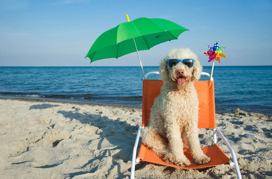 寶寶會不會用防曬霜過敏 給寶寶用防曬霜要注意什么