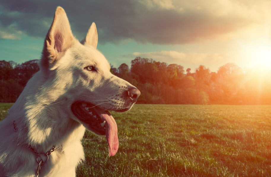 寶寶會不會用防曬霜過敏 給寶寶用防曬霜要注意什么